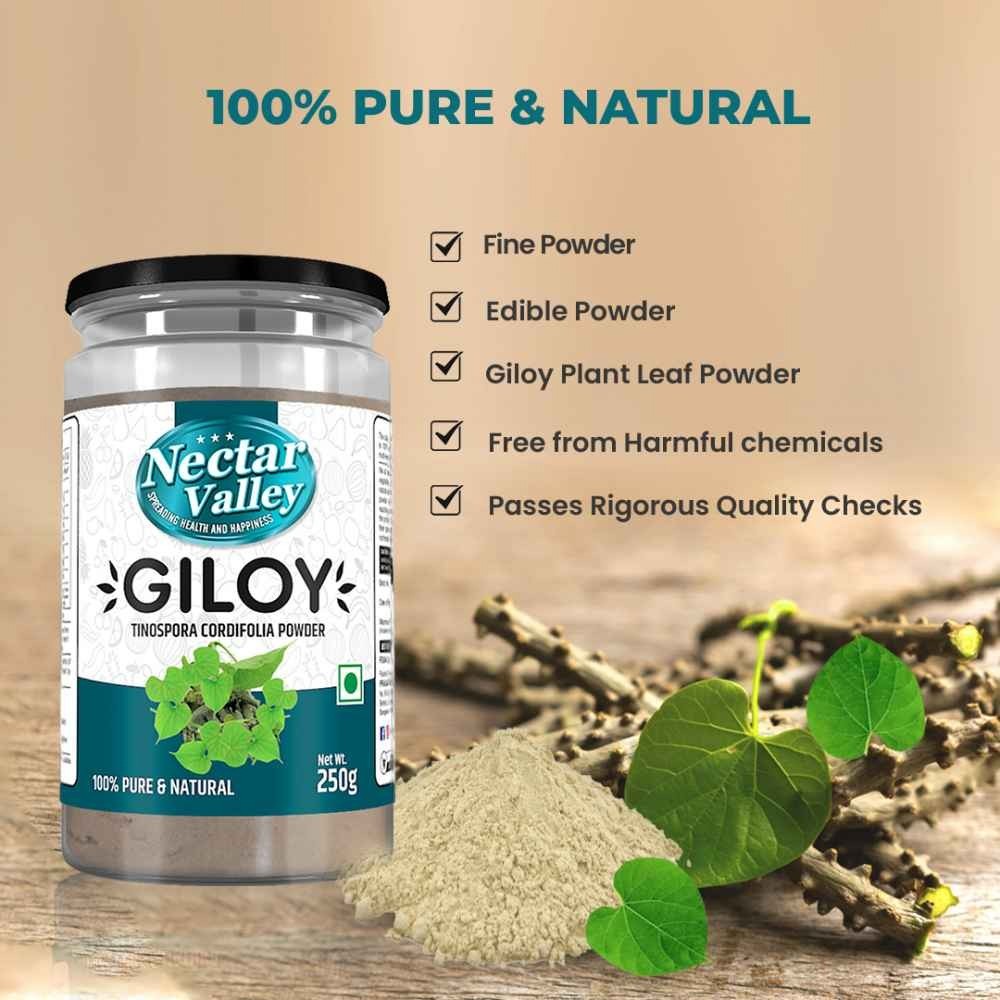 Giloy Powder 250g