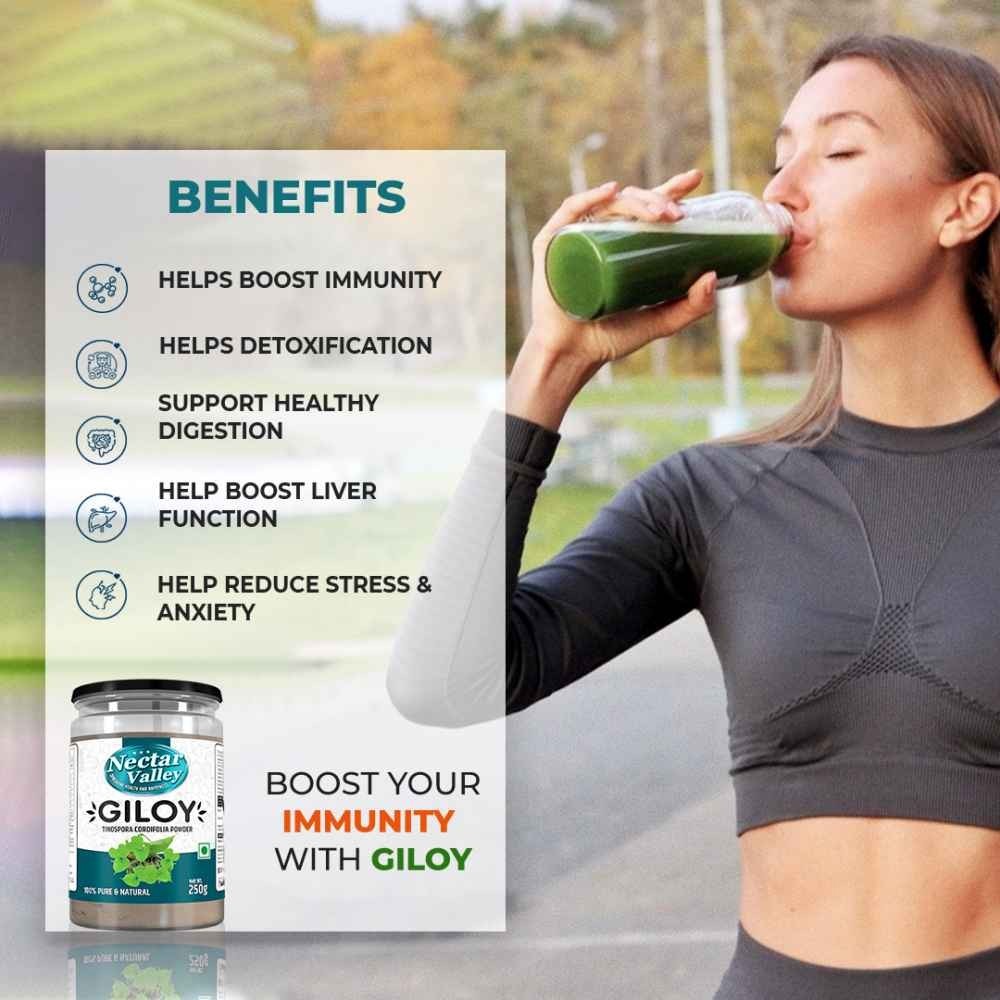Giloy Powder 250g